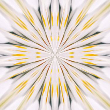 Fractal Mandala #12. Digital Abstract Art thumb