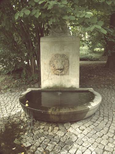 Original Classicism Garden Photography by Karolina Mitko