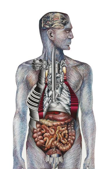 Anatomist's View thumb
