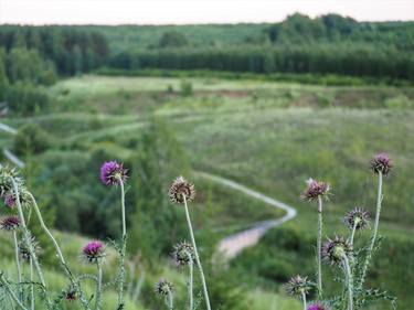 Landscape with burdock - Limited Edition of 3 thumb