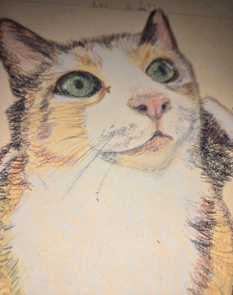 Original Illustration Cats Drawing by Yumiko Awae