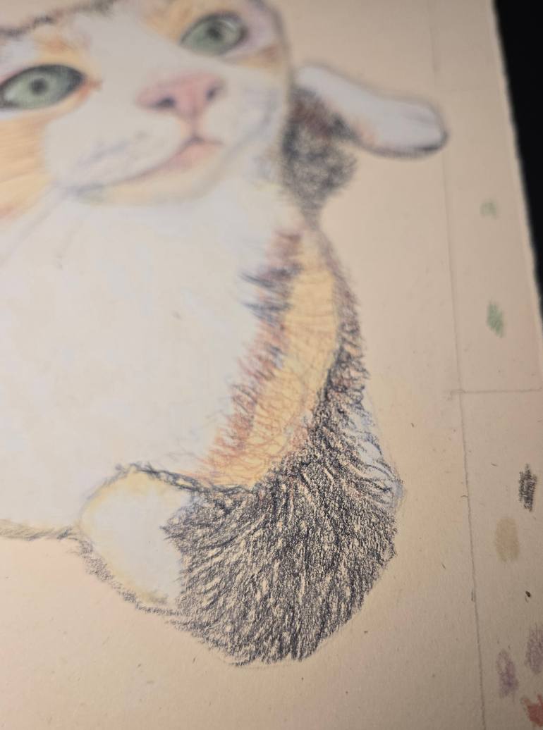 Original Illustration Cats Drawing by Yumiko Awae