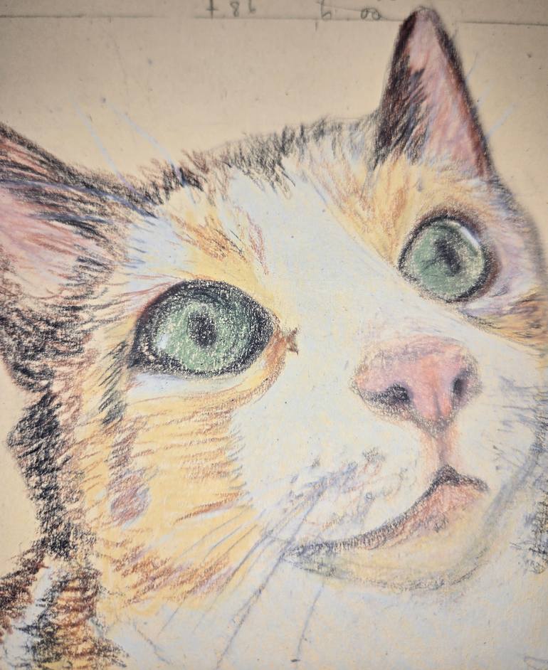 Original Illustration Cats Drawing by Yumiko Awae