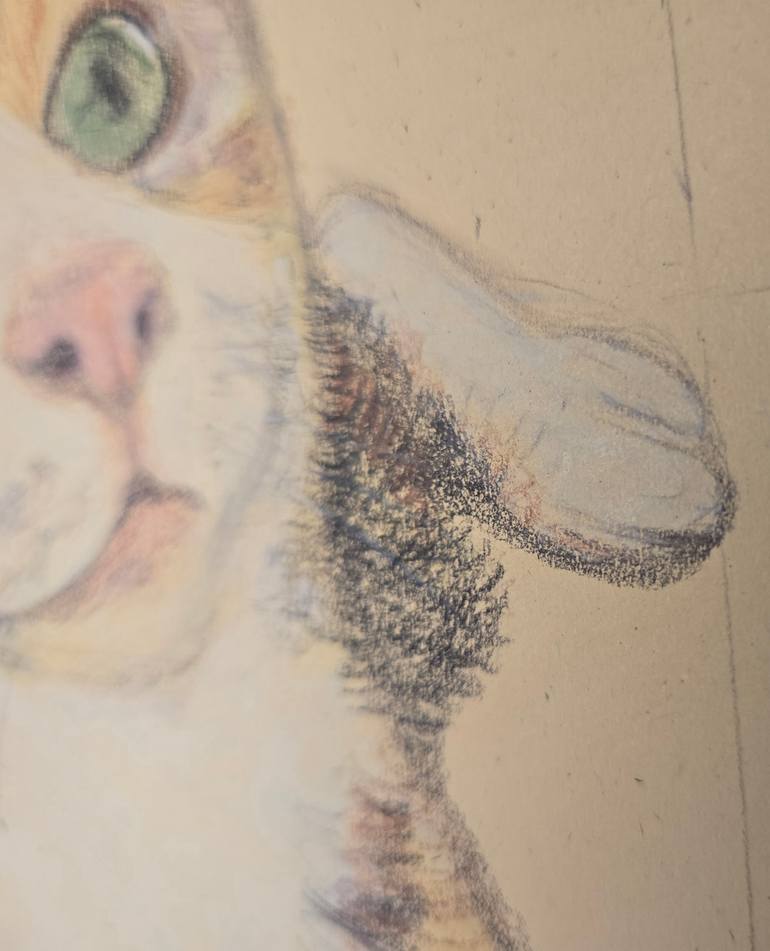 Original Illustration Cats Drawing by Yumiko Awae
