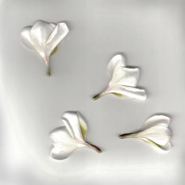 Three Flowers - White - Limited Edition of 10 thumb