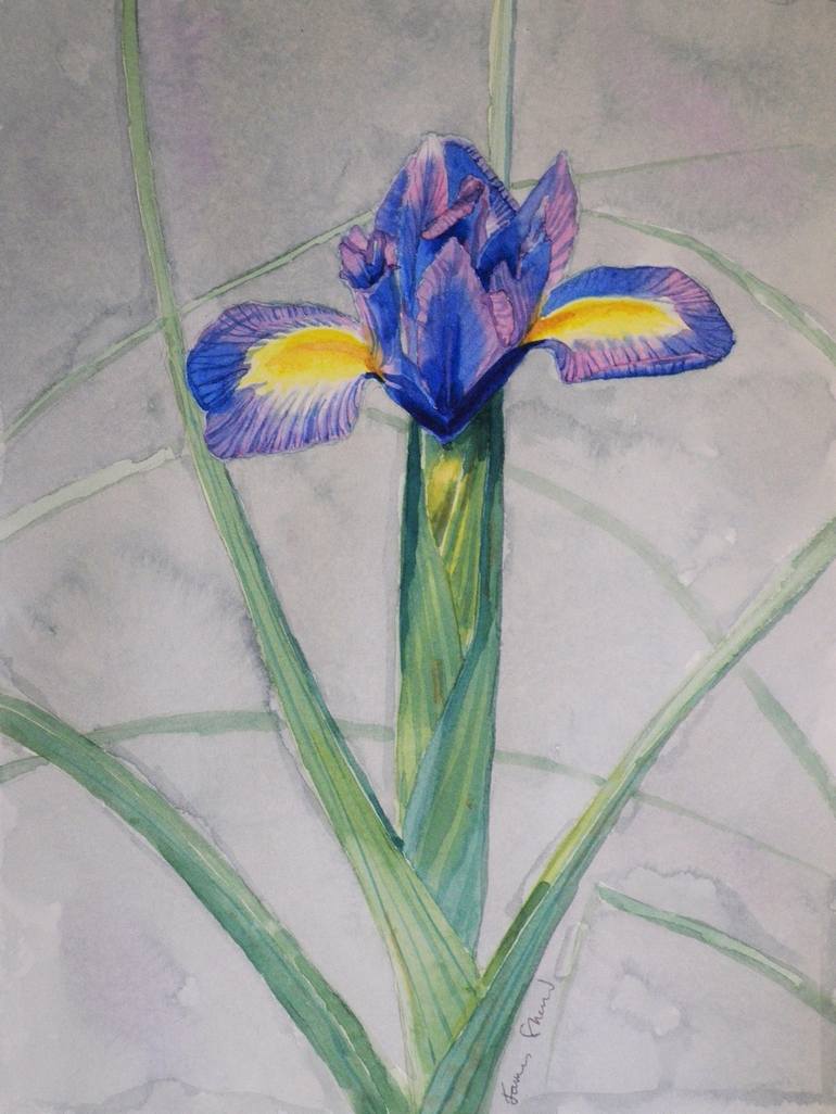 Dwarf Blue Iris Painting By James Shand 