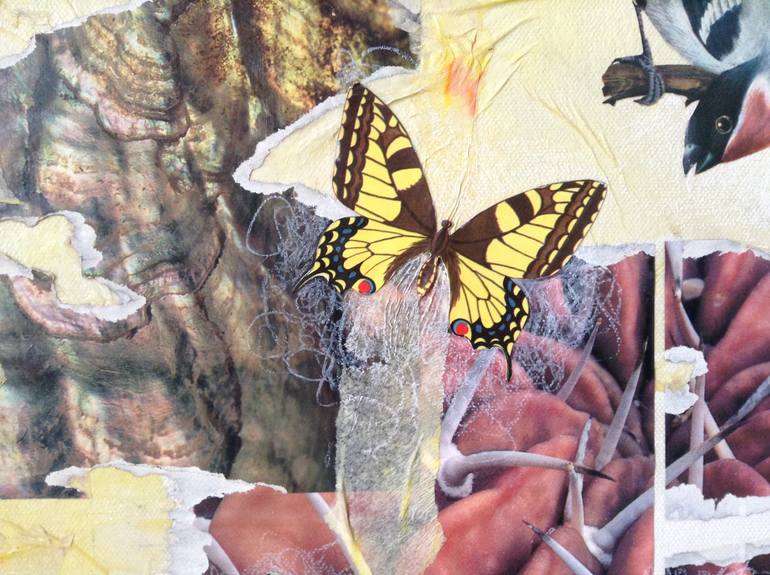 Original Dada Nature Collage by Ilene Alciati