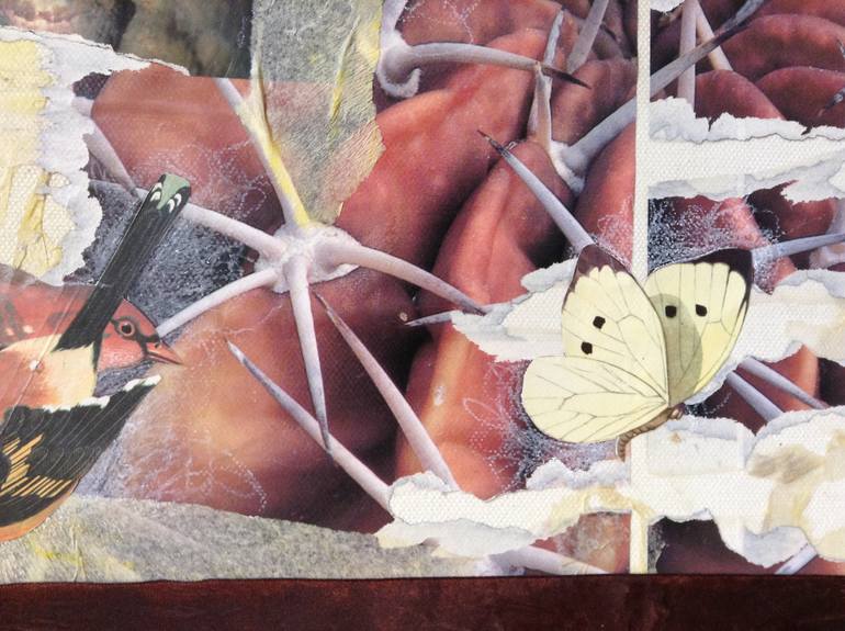 Original Dada Nature Collage by Ilene Alciati