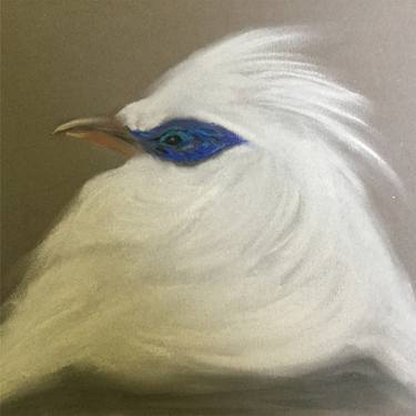 Bali Myna or Bali Mynah- bird thumb