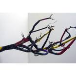 branching out by Bernard Klevickas