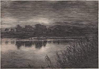 Original Op Art Landscape Drawing by Charles Buckley