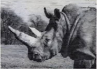 Original Realism Animal Drawing by Charles Buckley