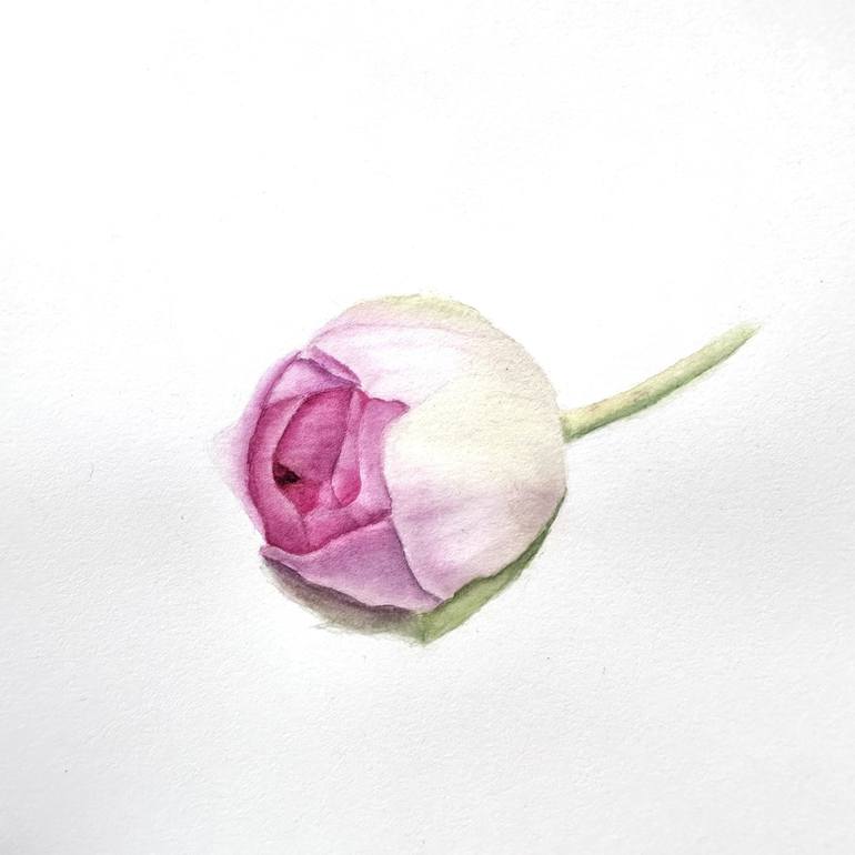 Original Classicism Still Life Paintings by Karine Wagener