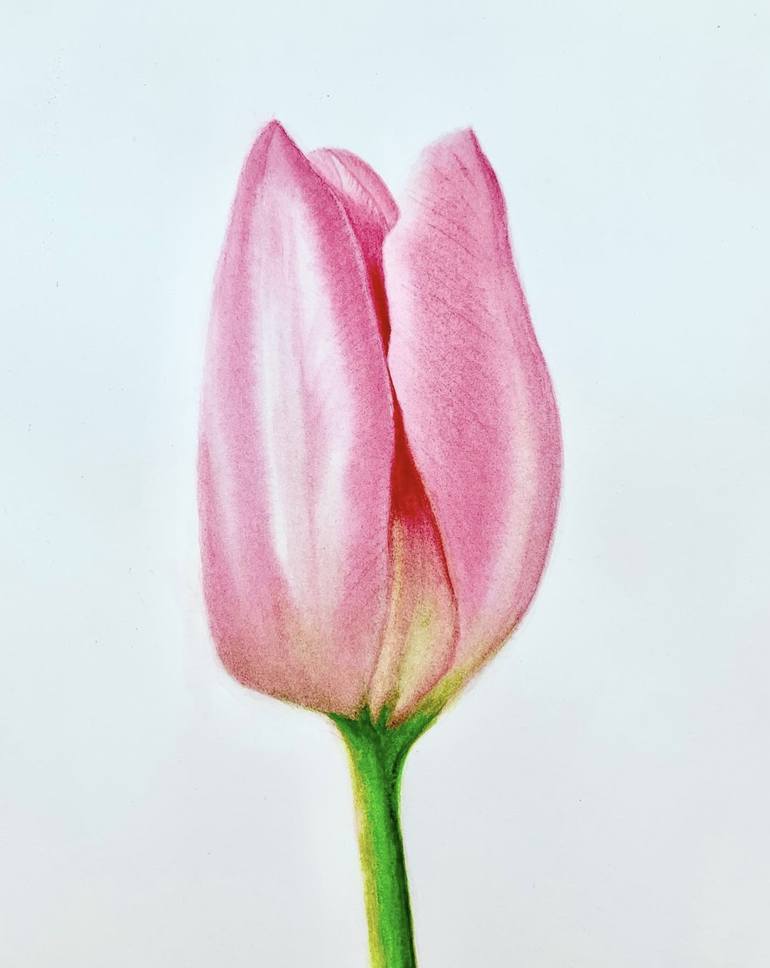 PINK TULIP Painting By Karine WAGENER Saatchi Art   8402859 OLIYBPAB 7 