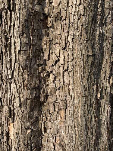 Original Minimalism Abstract Photography by Nikolay Belousov