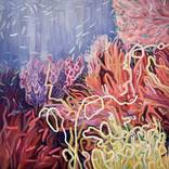 Collection Underwater Universe