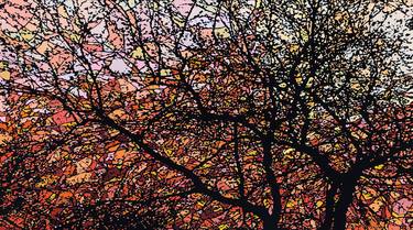 Print of Tree Paintings by Todd Mosley