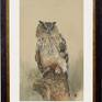 Eagle Owl. Original Watercolor

Owls are fascinating! I love to draw owls and I will draw them again and again! This eagle owl is drawn on special high quality tinted watercolor paper.