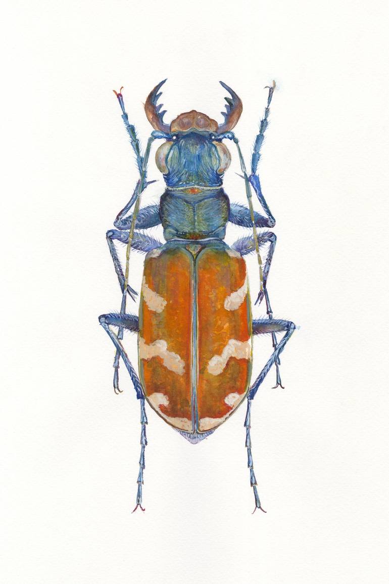 Tiger Beetle Painting by Valentyn Orikhovskyi | Saatchi Art
