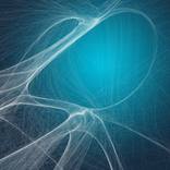Collection Neuroplastic (generative art)