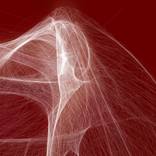 Collection Neuroplastic (generative art)