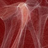 Collection Neuroplastic (generative art)