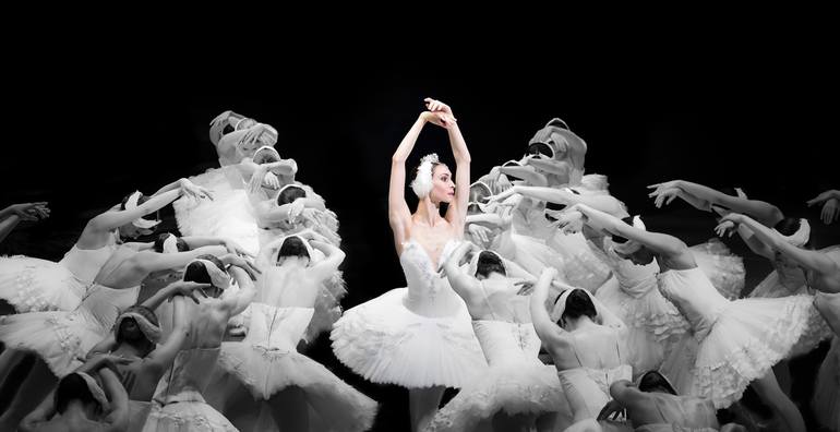 SwanLake - Print