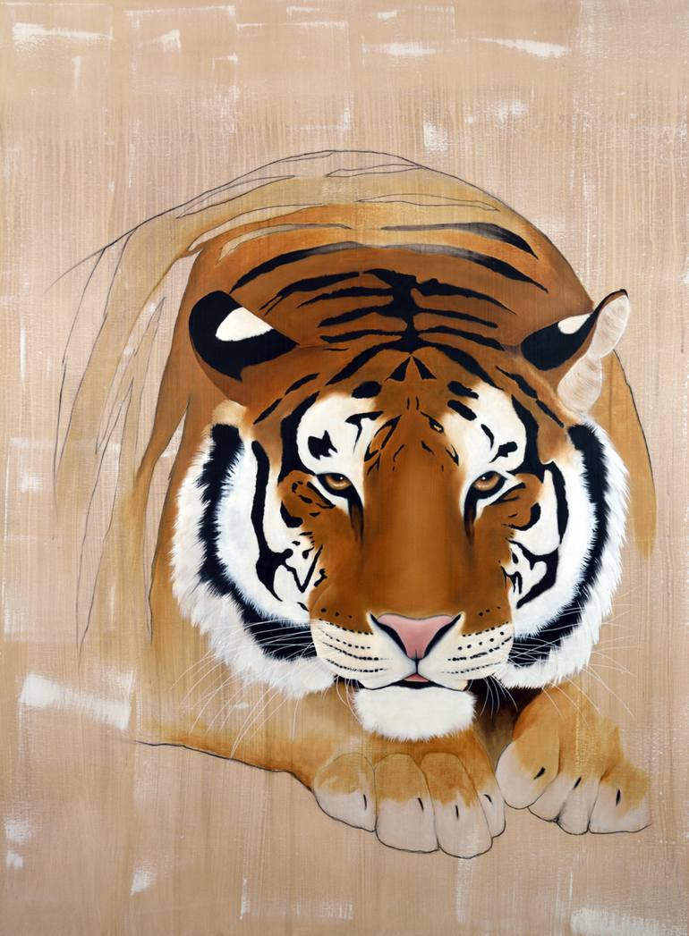 Bengal Tiger (Panthera tigris tigris) Dimensions & Drawings