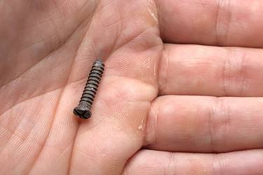 Screw from Inside the Body of Artist's Deceased Father thumb