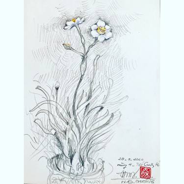 Print of Realism Floral Drawings by Nguyễn Đại Thắng