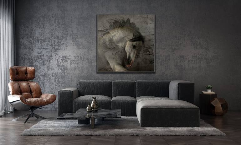 Original Expressionism Animal Photography by Nur Tucker