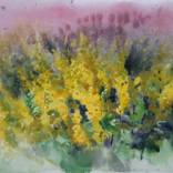Wildflowers by Zhanna Sviridnikova