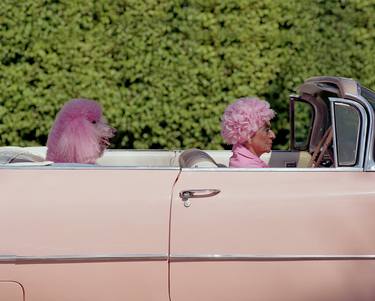 Original Conceptual Animal Photography by Tim Macpherson