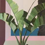 bananatree horizon by olivier morel pellen