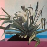 agave and horizon by olivier morel pellen