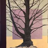 tree in winter by olivier morel pellen