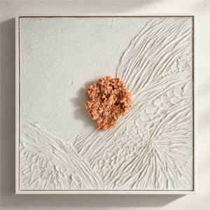 Coralina I