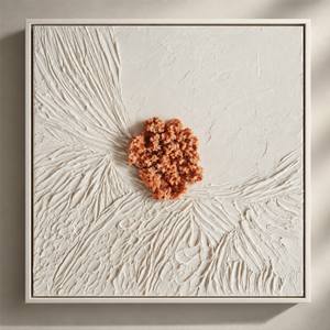 Coralina II