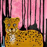 Spotted! by Sophie Rae