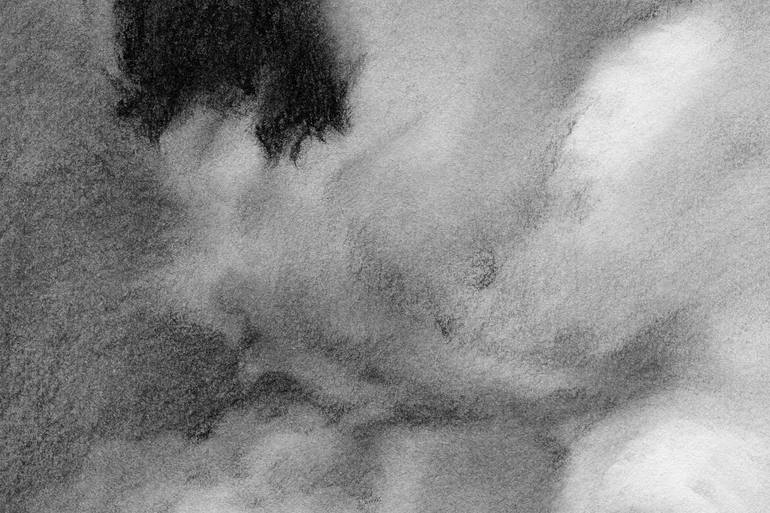 Original Illustration Nature Drawing by Toby Carr