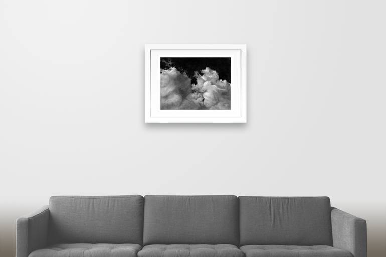 Original Illustration Nature Drawing by Toby Carr