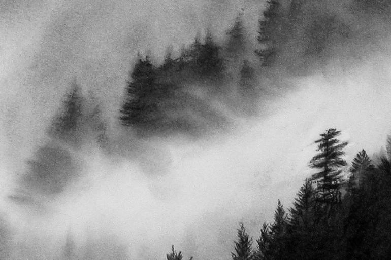 Original Illustration Nature Drawing by Toby Carr