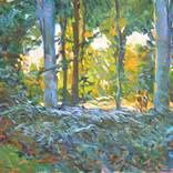 La foret bleue by Patrick Marie