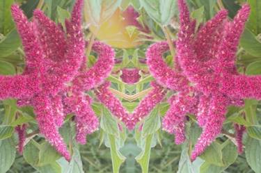 Print of Figurative Botanic Mixed Media by Reka Kiss