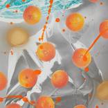 Swimming with Tangerines by Aaron Haxton