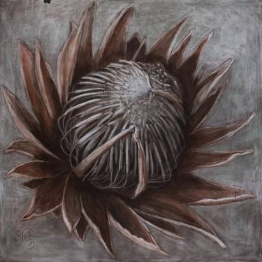 Print of Conceptual Botanic Paintings by Svetlana Schiel