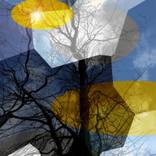 Collection Tents & Landscapes
