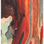 Colours Of Nature by Nancy Tschetner