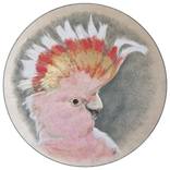 Funky Spunk by Nancy Tschetner