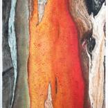 Live With Contrast by Nancy Tschetner